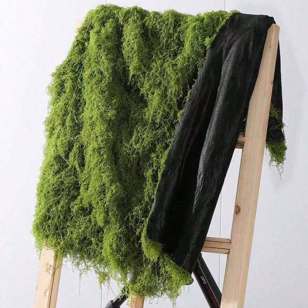 Sphagnum Moss Dry - 1*1m Fake Moss DIY Crafts Grass