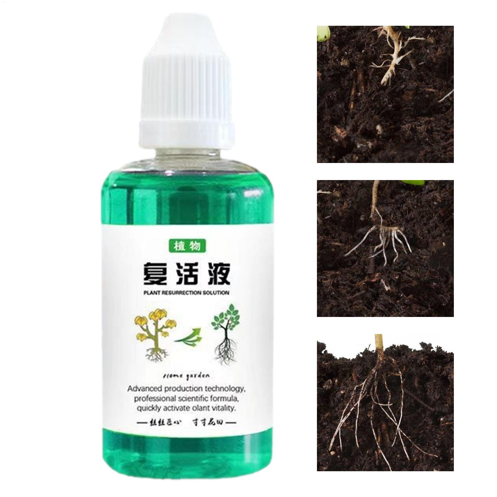 50ml Root Stimulator Plant Res - Root Stimulator Liquid ulasan dan harga