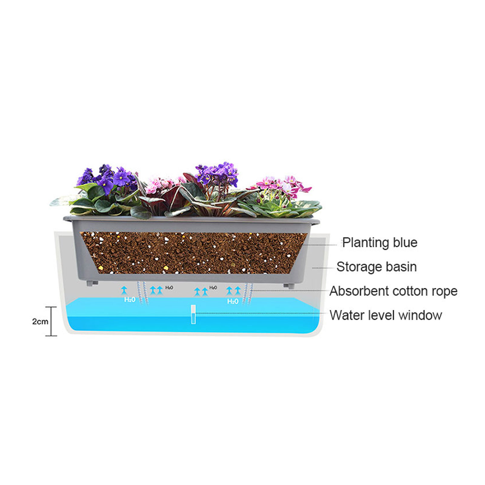 Self-Watering Planter Pots wit - Self Watering Insert ulasan dan harga