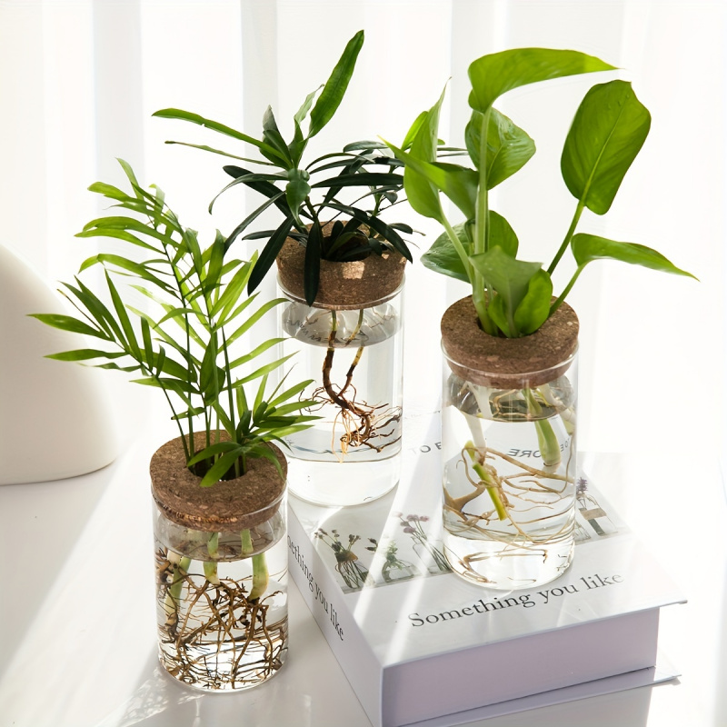1pc, Hydroponics Plants Deskto - Propagation Station Vase ulasan dan harga
