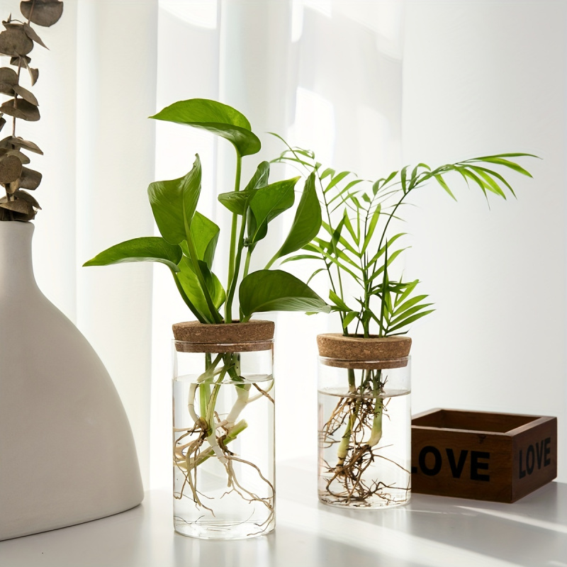 1pc, Hydroponics Plants Deskto - Propagation Station Vase ulasan dan harga