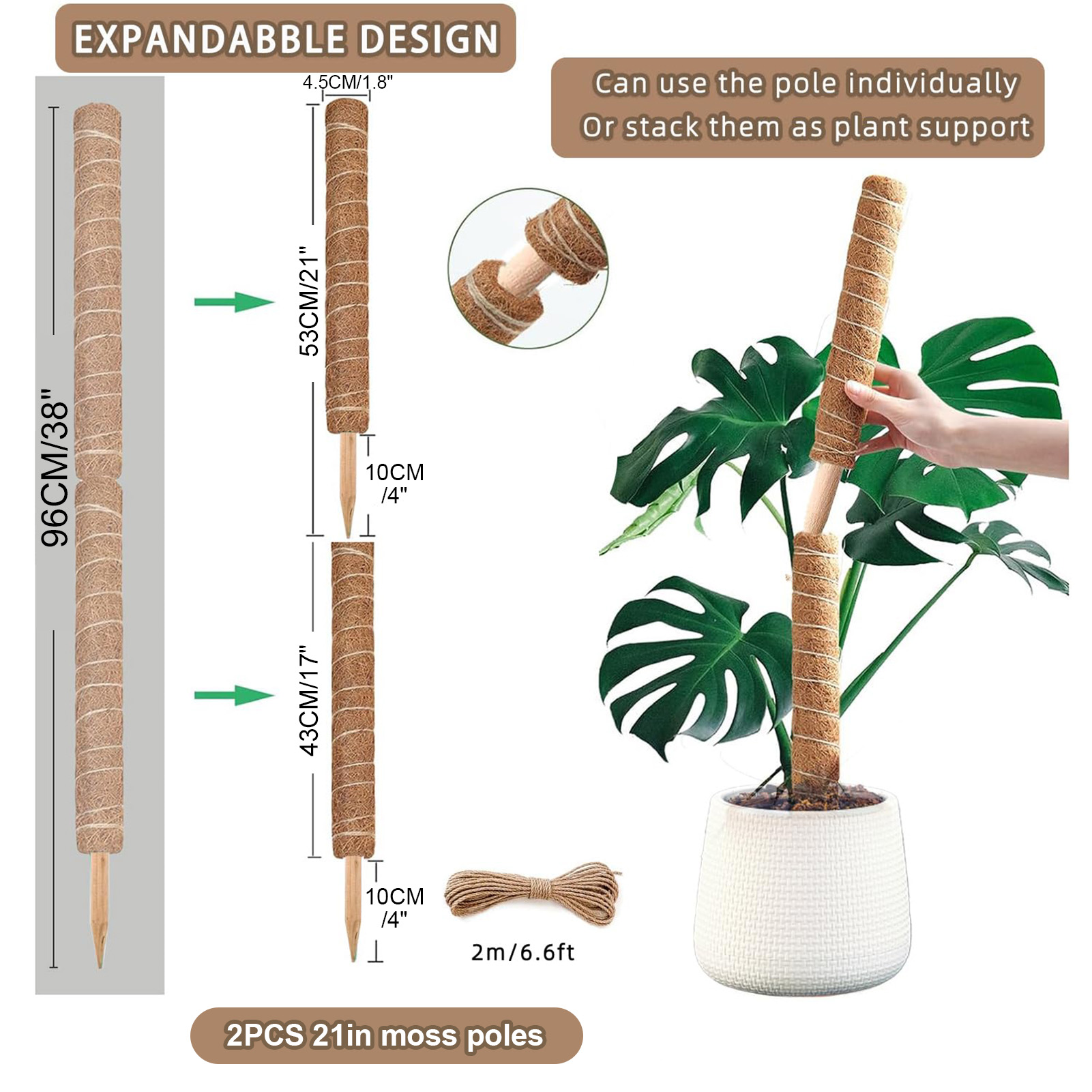 Moss Pole 38/43/53CM Monstera  - Sphagnum Moss Dry ulasan dan harga