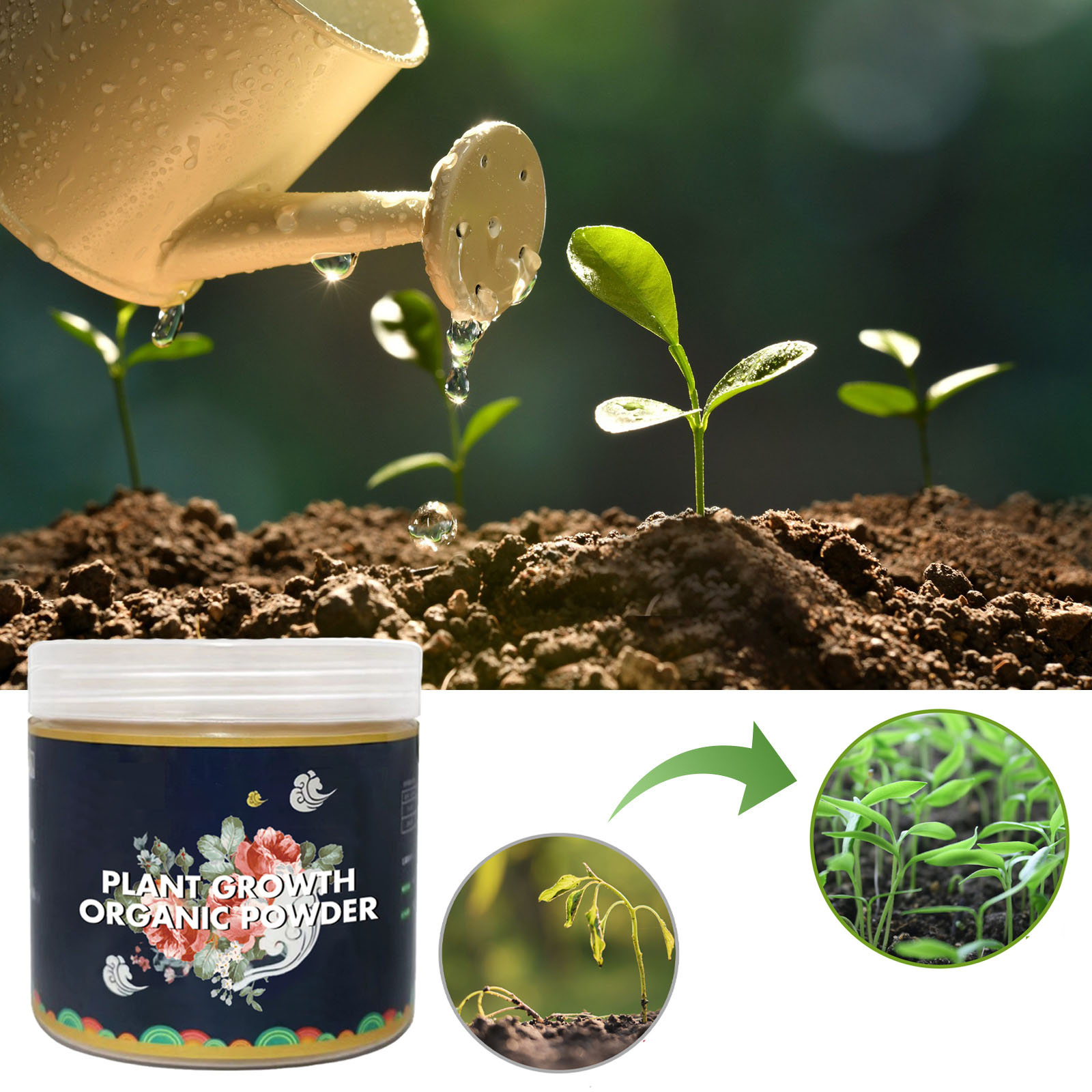 Fast Rooting Powder Plant Soil - Rooting Hormone Powder ulasan dan harga