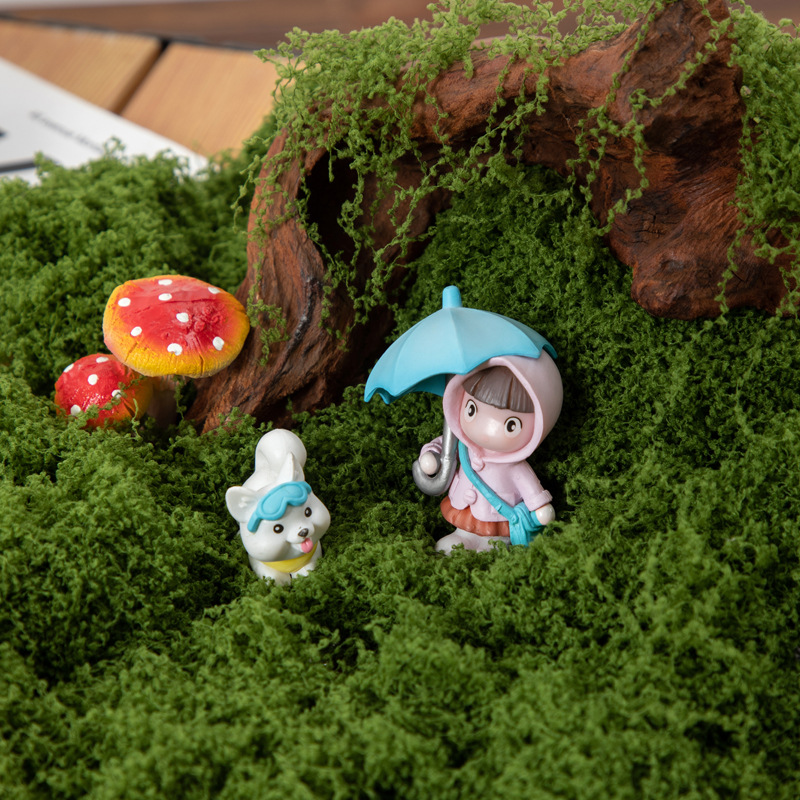 200g Eternal Life Moss DIY Cra - Sphagnum Moss Dry ulasan dan harga