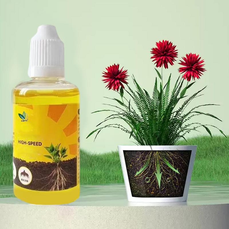 50ml Plant Root Stimulator Liq - Root Stimulator Liquid ulasan dan harga