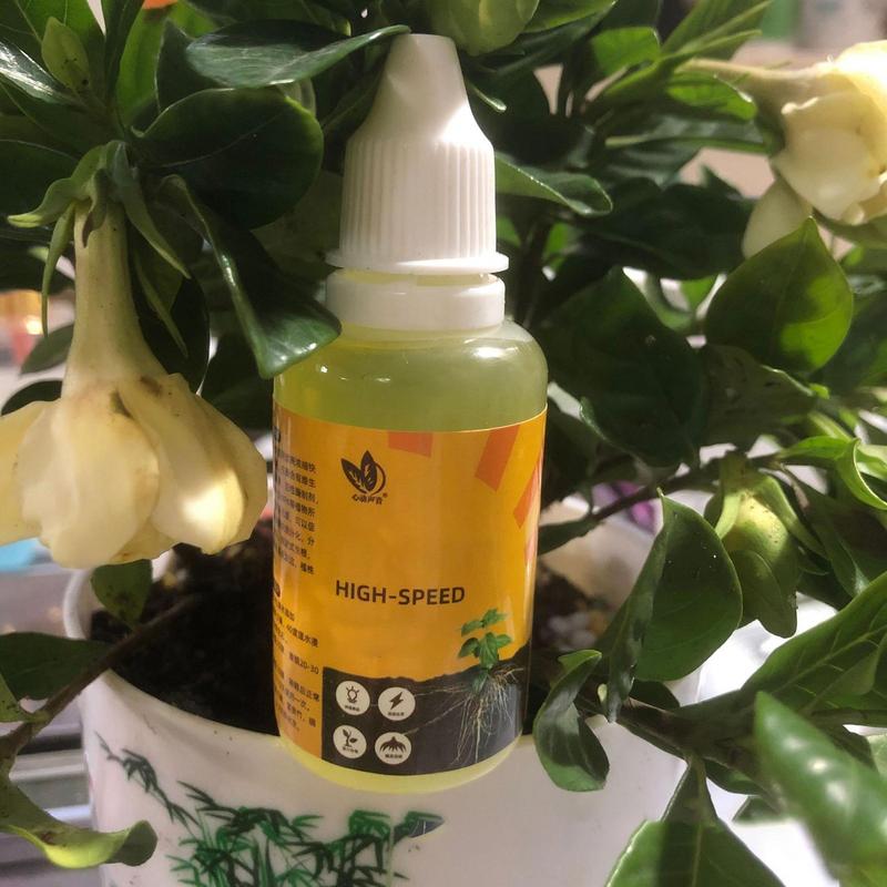 50ml Plant Root Stimulator Liq - Root Stimulator Liquid ulasan dan harga