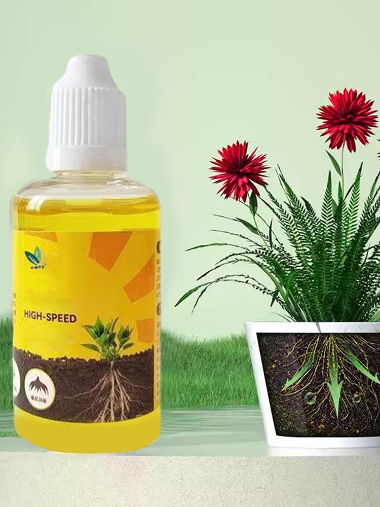 Plant Rooting Stimulator Liqui - Root Stimulator Liquid ulasan dan harga