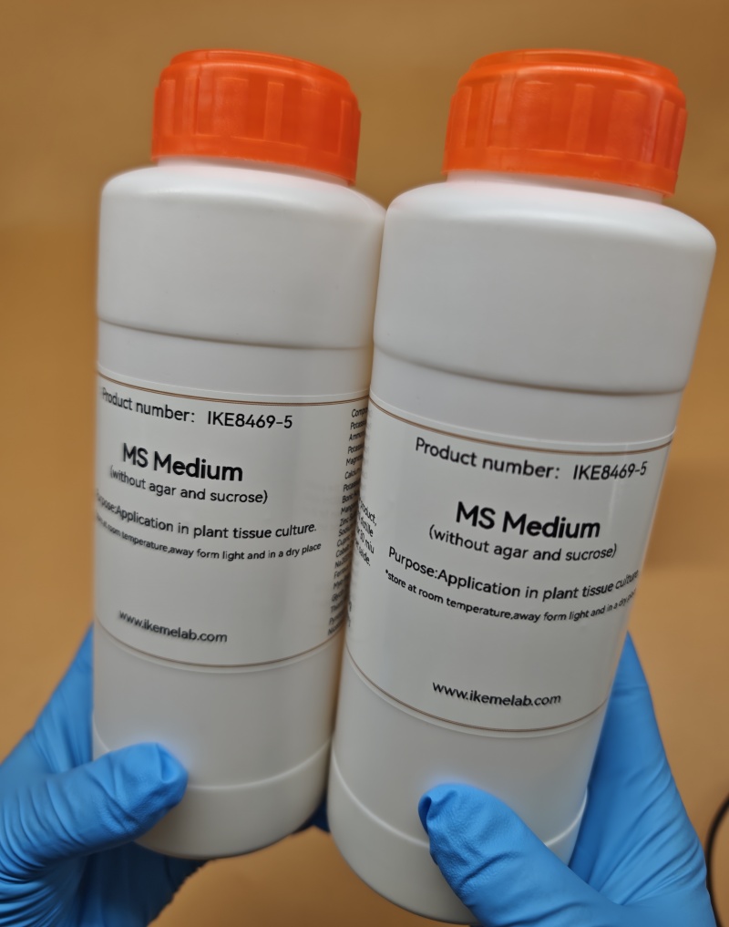 IKEME Lab MS Medium 250g Witho - Agar Tissue Culture ulasan dan harga