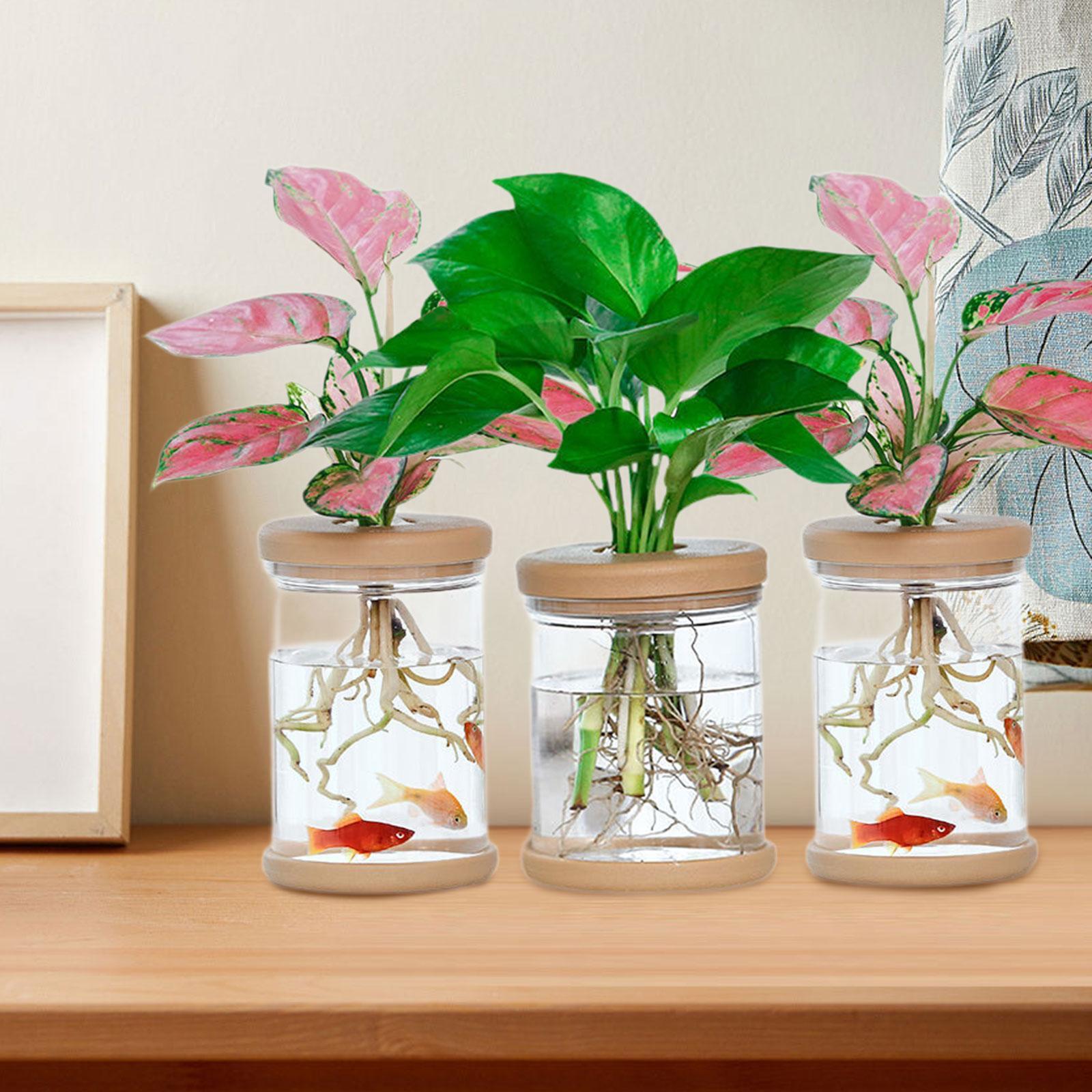 3Pcs Hydroponics Flower Vases  - Propagation Station Vase ulasan dan harga