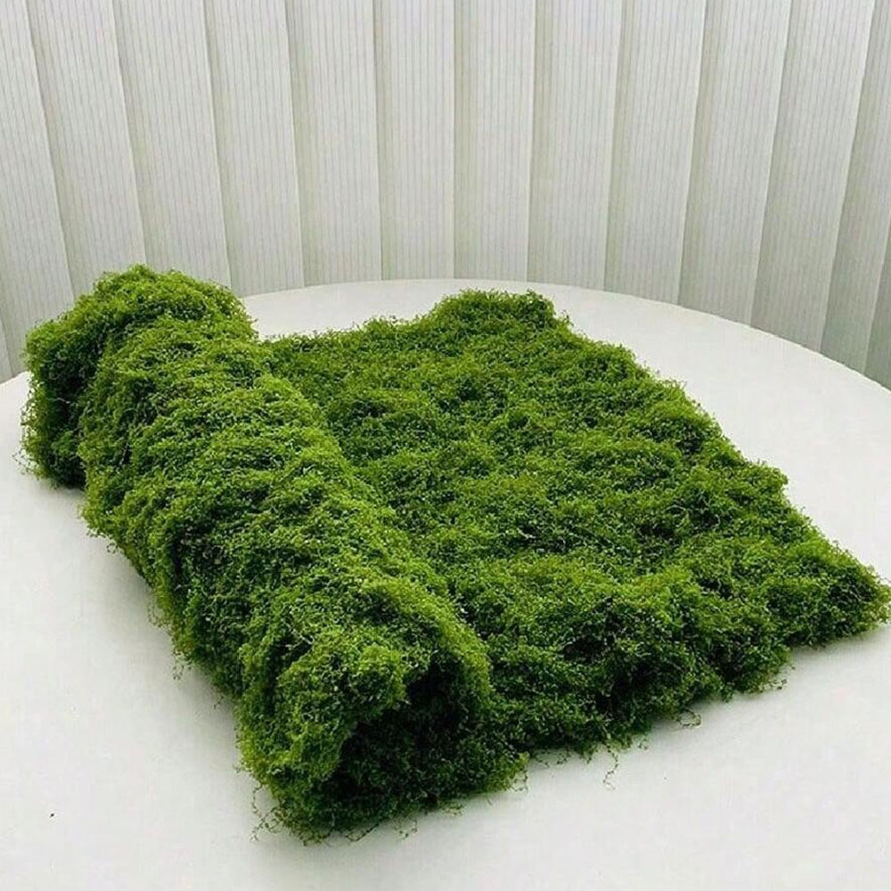 1*1m Fake Moss DIY Crafts Gras - Sphagnum Moss Dry ulasan dan harga