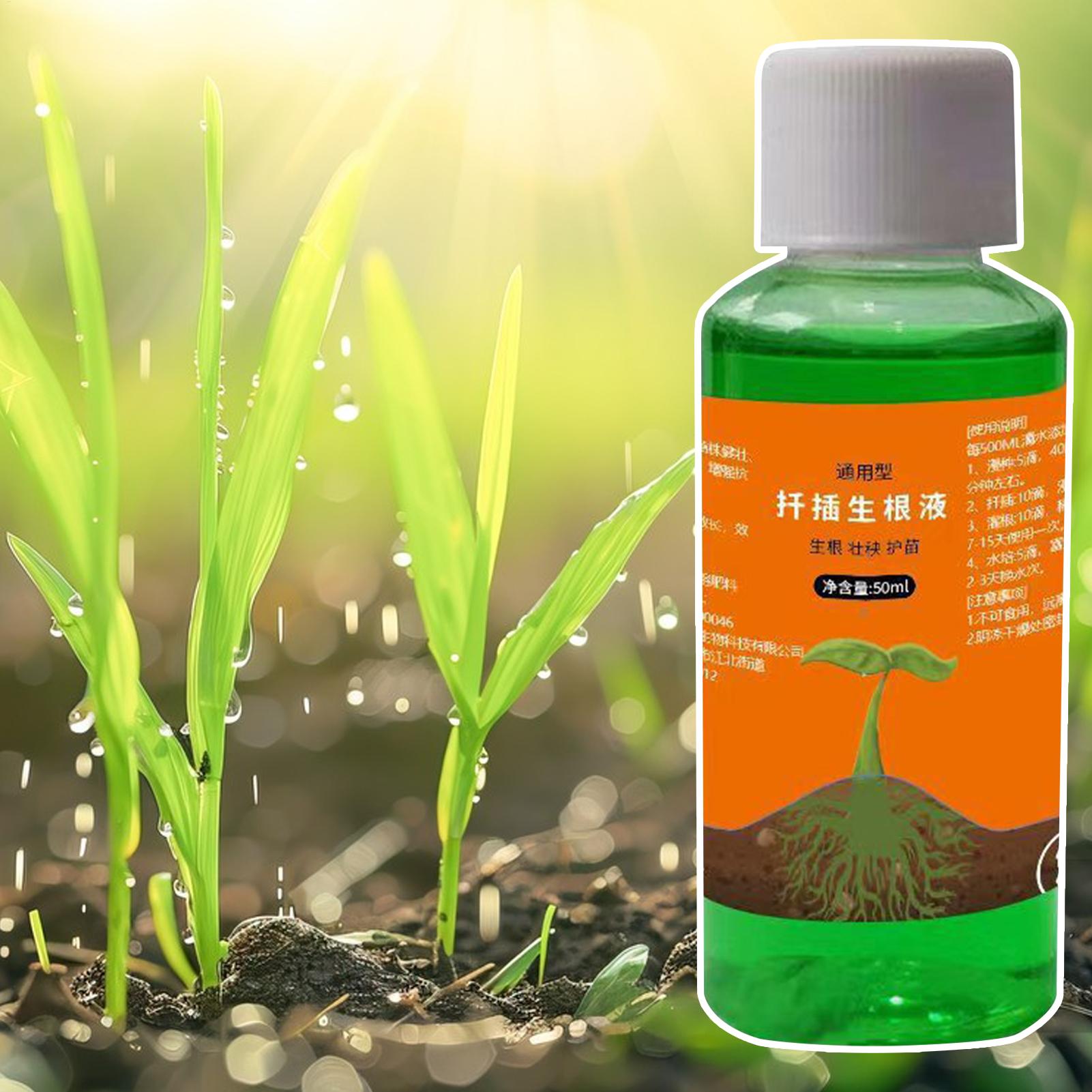 High-Efficiency Root Stimulato - Root Stimulator Liquid ulasan dan harga