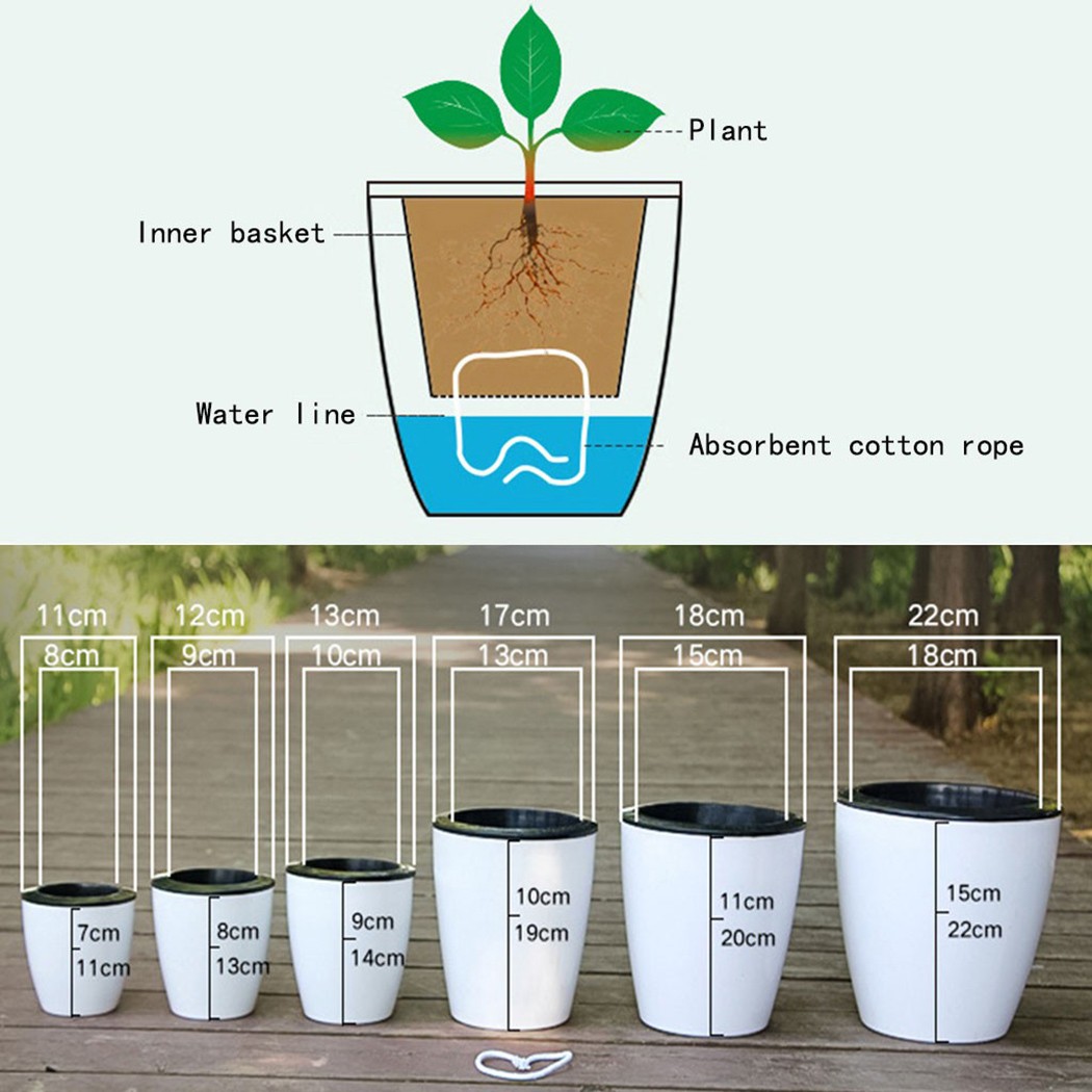 Automatic Watering Flower Plan - Self Watering Insert ulasan dan harga