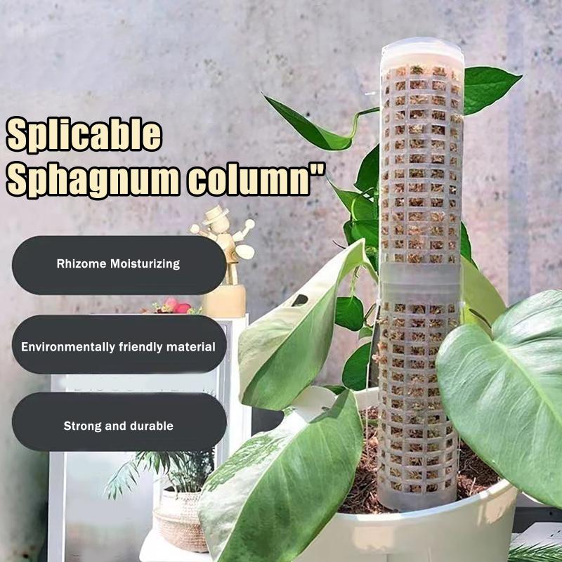 6Pcs Moss Pole Plastic Plant S - Sphagnum Moss Dry ulasan dan harga