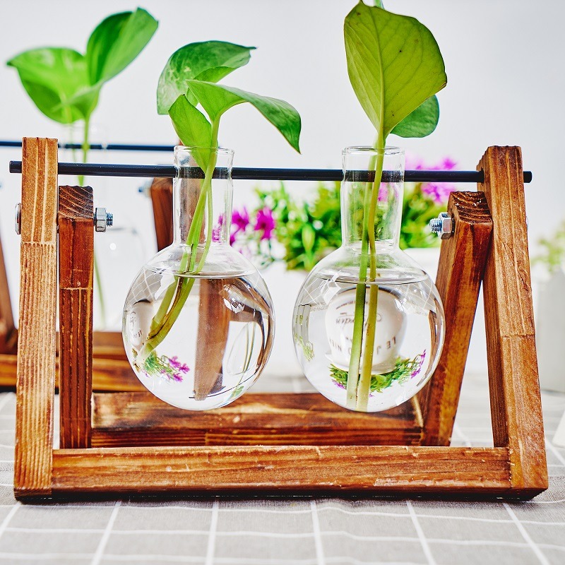Tabletop Glass Planter Propaga - Propagation Station Vase ulasan dan harga