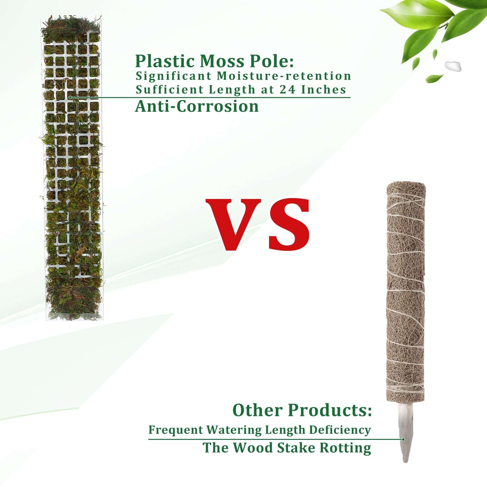 2/4/6Pcs Moss Pole Plastic Pla - Sphagnum Moss Dry ulasan dan harga