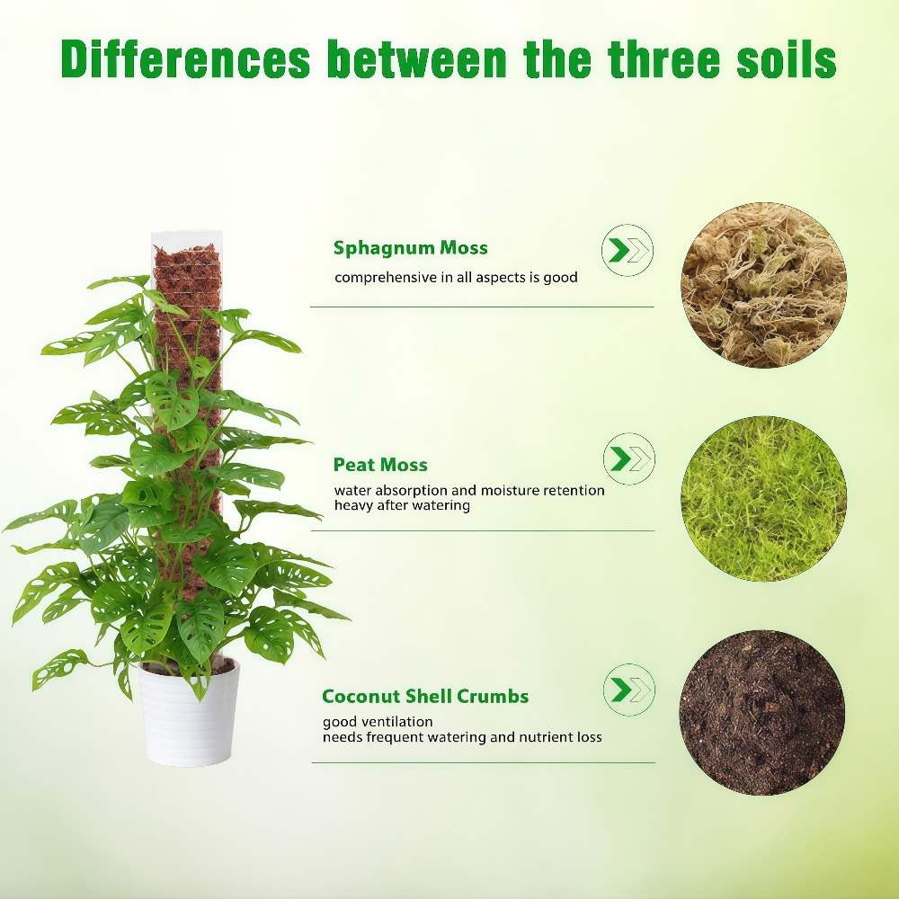 Moss Pole Plastic Plant Stand  - Sphagnum Moss Dry ulasan dan harga